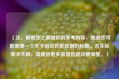 (注,根据您之前提供的参考内容,推测您可能需要一个关于游戏匹配机制的标题。若实际需求不同,请提供更多背景信息以便调整。)