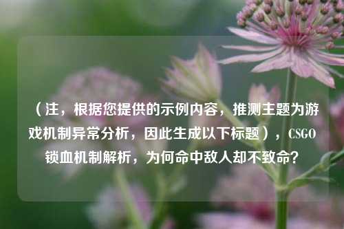(注,根据您提供的示例内容,推测主题为游戏机制异常分析,因此生成以下标题),CSGO锁血机制解析,为何命中敌人却不致命?