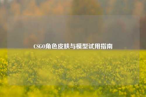 CSGO角色皮肤与模型试用指南