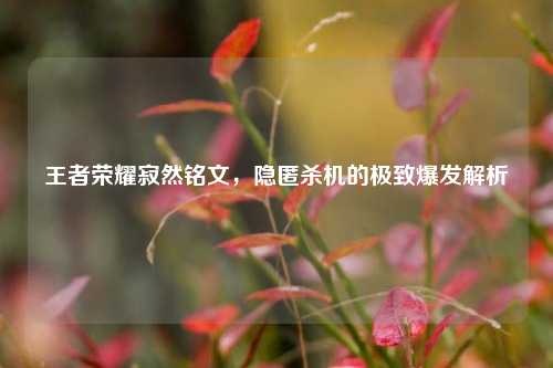 王者荣耀寂然铭文,隐匿杀机的极致爆发解析