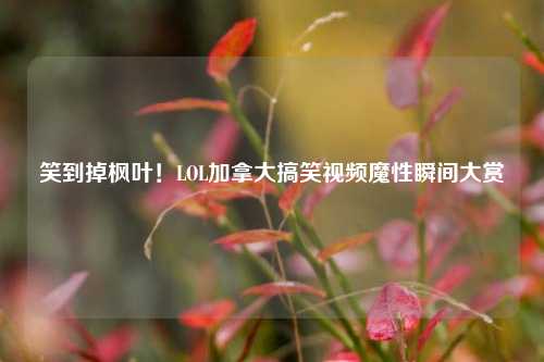 笑到掉枫叶!LOL加拿大搞笑视频魔性瞬间大赏