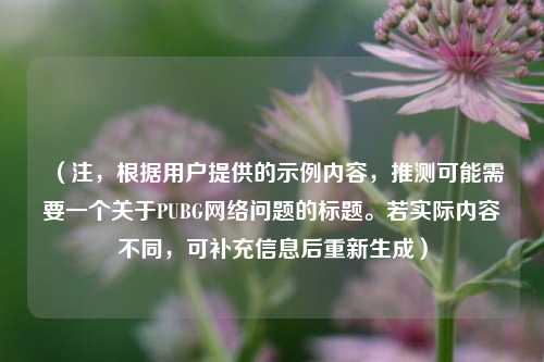 (注,根据用户提供的示例内容,推测可能需要一个关于PUBG网络问题的标题。若实际内容不同,可补充信息后重新生成)