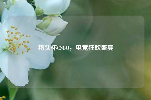 猪头杯CSGO,电竞狂欢盛宴