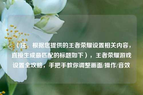 (注,根据您提供的王者荣耀设置相关内容,直接生成最匹配的标题如下),王者荣耀游戏设置全攻略,手把手教你调整画面/操作/音效