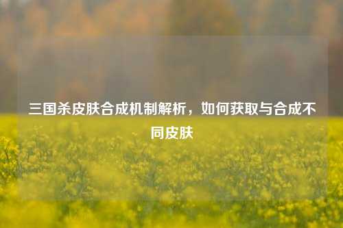 三国杀皮肤合成机制解析,如何获取与合成不同皮肤