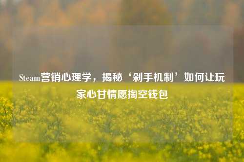 Steam营销心理学,揭秘‘剁手机制’如何让玩家心甘情愿掏空钱包