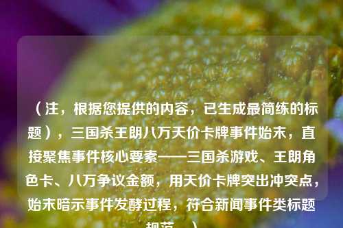 (注,根据您提供的内容,已生成最简练的标题),三国杀王朗八万天价卡牌事件始末,直接聚焦事件核心要素——三国杀游戏、王朗角色卡、八万争议金额,用天价卡牌突出冲突点,始末暗示事件发酵过程,符合新闻事件类标题规范。)