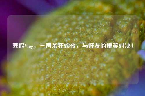 寒假Vlog,三国杀狂欢夜,与好友的爆笑对决!