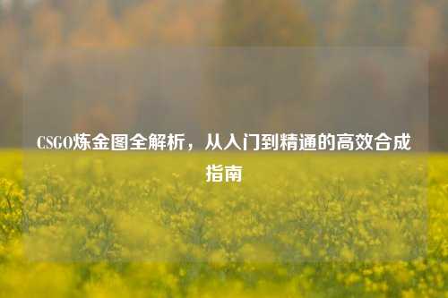 CSGO炼金图全解析,从入门到精通的高效合成指南