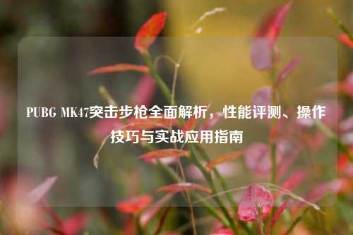PUBG MK47突击步枪全面解析,性能评测、操作技巧与实战应用指南
