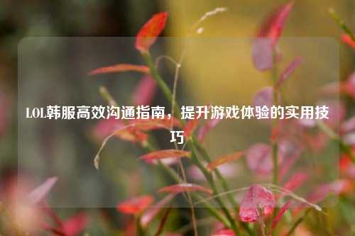 LOL韩服高效沟通指南,提升游戏体验的实用技巧