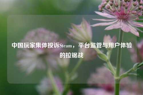 中国玩家集体投诉Steam,平台监管与用户体验的拉锯战