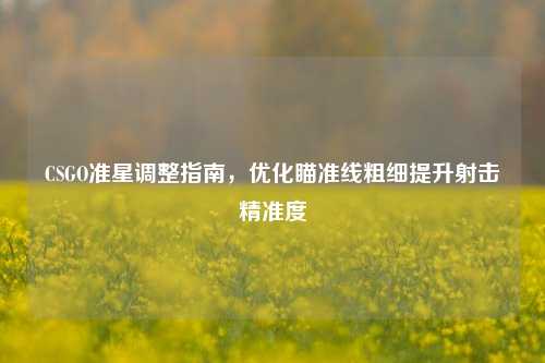 CSGO准星调整指南,优化瞄准线粗细提升射击精准度