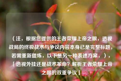 (注,根据您提供的王者荣耀上帝之眼,透视战局的终极战术与争议内容本身已是完整标题,若需重新提炼,以下是另一种表述方案,),「透视外挂还是战术革命?解析王者荣耀上帝之眼的双重争议」