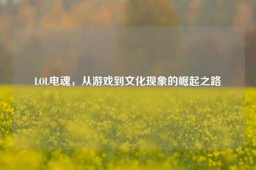 LOL电魂,从游戏到文化现象的崛起之路