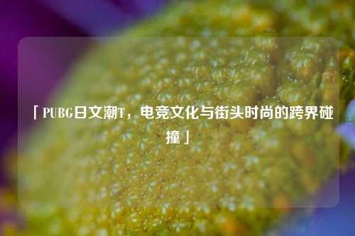 「PUBG日文潮T,电竞文化与街头时尚的跨界碰撞」