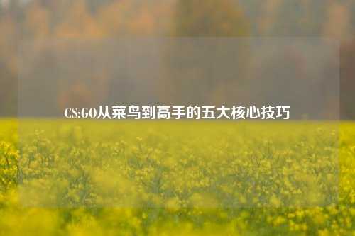 CS:GO从菜鸟到高手的五大核心技巧