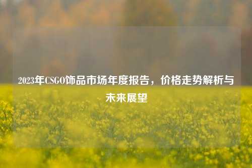 2023年CSGO饰品市场年度报告,价格走势解析与未来展望