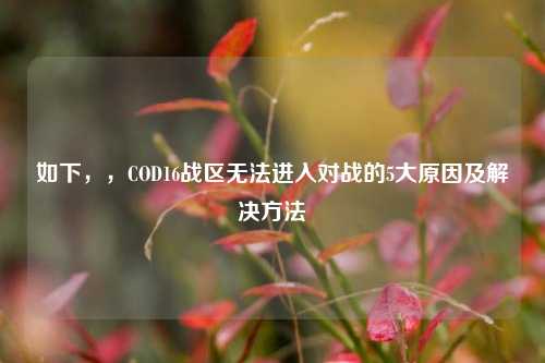 如下,,COD16战区无法进入对战的5大原因及解决方法