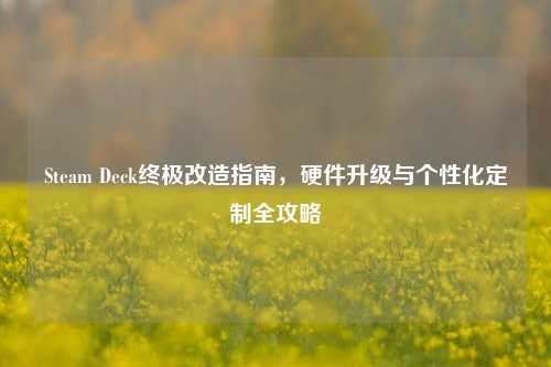 Steam Deck终极改造指南,硬件升级与个性化定制全攻略