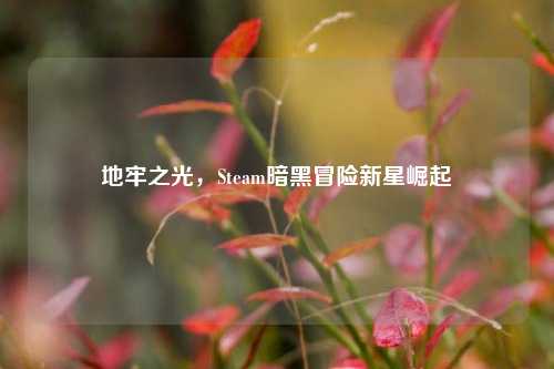 地牢之光,Steam暗黑冒险新星崛起
