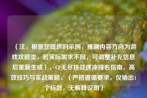 (注,根据您提供的示例,推测内容方向为游戏攻略类,若实际需求不同,可调整补充信息后重新生成),CF无尽挑战速冲排名指南,高效技巧与实战策略,(严格遵循要求,仅输出1个标题,无解释说明)