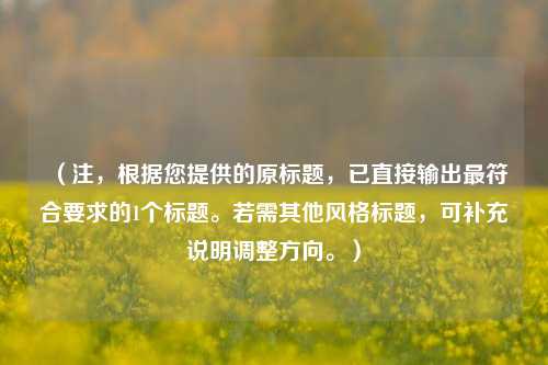 (注,根据您提供的原标题,已直接输出最符合要求的1个标题。若需其他风格标题,可补充说明调整方向。)