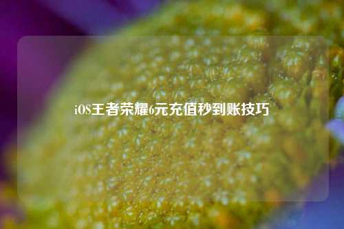 iOS王者荣耀6元充值秒到账技巧
