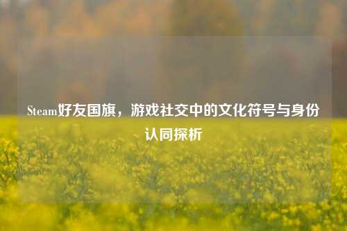 Steam好友国旗,游戏社交中的文化符号与身份认同探析