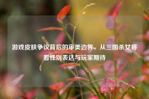 游戏皮肤争议背后的审美边界,从三国杀女将看性别表达与玩家期待