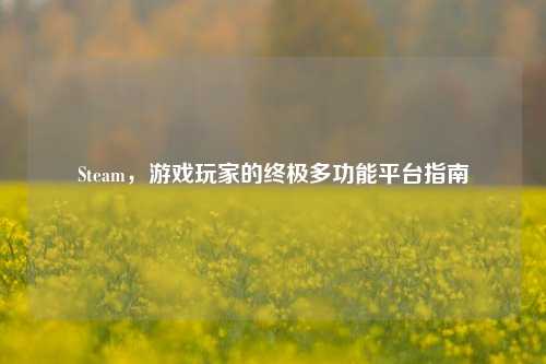 Steam,游戏玩家的终极多功能平台指南