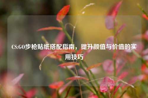 CS:GO步枪贴纸搭配指南,提升颜值与价值的实用技巧