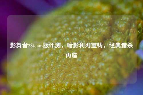 影舞者2Steam版评测,暗影利刃重铸,经典猎杀再临