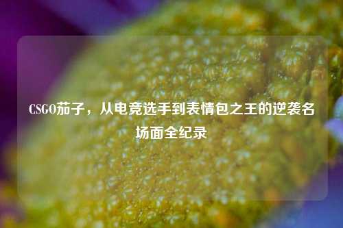 CSGO茄子,从电竞选手到表情包之王的逆袭名场面全纪录