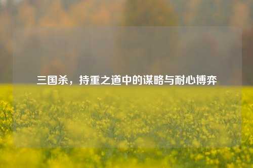 三国杀,持重之道中的谋略与耐心博弈
