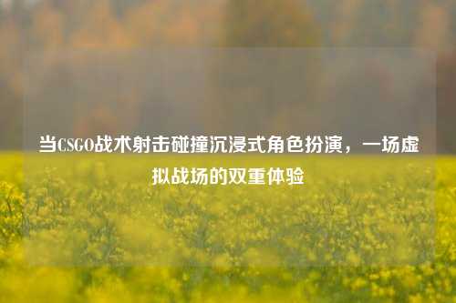 当CSGO战术射击碰撞沉浸式角色扮演,一场虚拟战场的双重体验