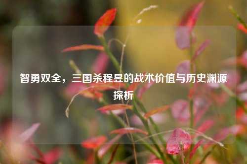 智勇双全,三国杀程昱的战术价值与历史渊源探析