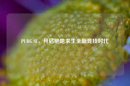 PUBG.SL,开启绝地求生全新竞技时代