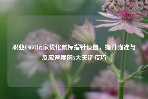 职业CSGO玩家优化鼠标指针设置,提升瞄准与反应速度的5大关键技巧