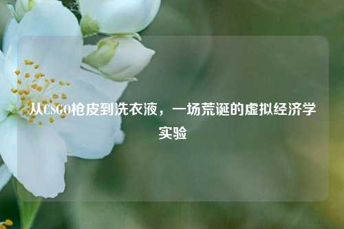 从CSGO枪皮到洗衣液,一场荒诞的虚拟经济学实验