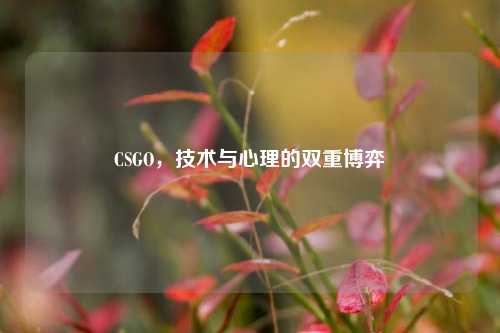 CSGO,技术与心理的双重博弈
