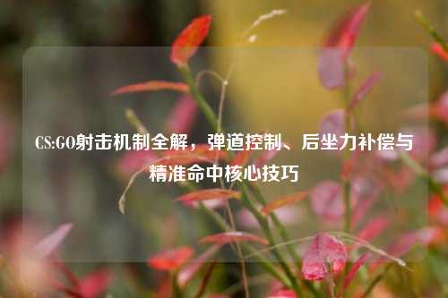 CS:GO射击机制全解,弹道控制、后坐力补偿与精准命中核心技巧