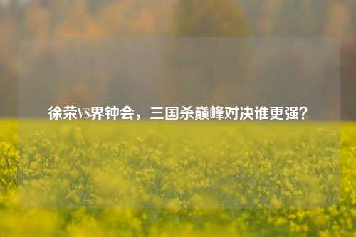 徐荣VS界钟会,三国杀巅峰对决谁更强?