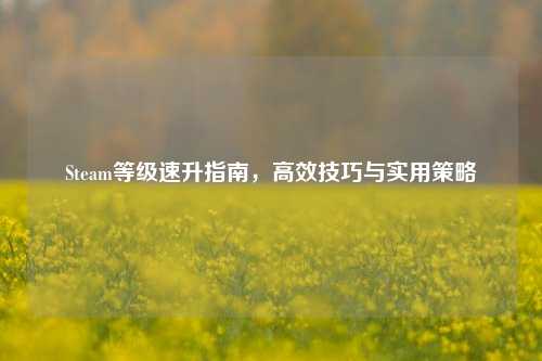 Steam等级速升指南,高效技巧与实用策略
