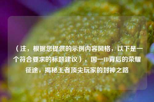 (注,根据您提供的示例内容风格,以下是一个符合要求的标题建议),国一ID背后的荣耀征途,揭秘王者顶尖玩家的封神之路