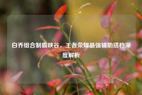 白乔组合制霸峡谷,王者荣耀最强辅助搭档深度解析