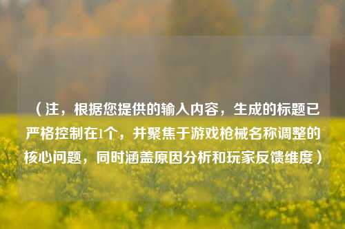 (注,根据您提供的输入内容,生成的标题已严格控制在1个,并聚焦于游戏枪械名称调整的核心问题,同时涵盖原因分析和玩家反馈维度)