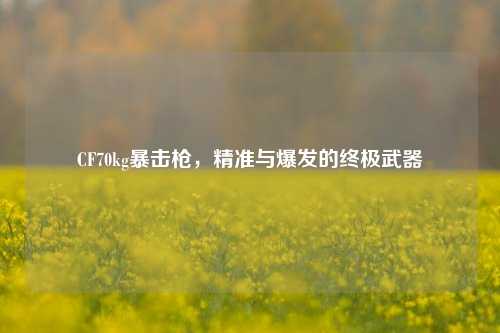 CF70kg暴击枪,精准与爆发的终极武器