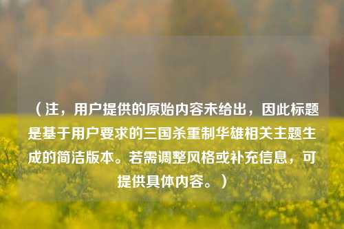 (注,用户提供的原始内容未给出,因此标题是基于用户要求的三国杀重制华雄相关主题生成的简洁版本。若需调整风格或补充信息,可提供具体内容。)