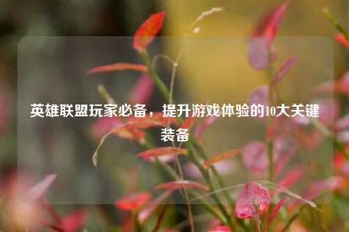 英雄联盟玩家必备,提升游戏体验的10大关键装备